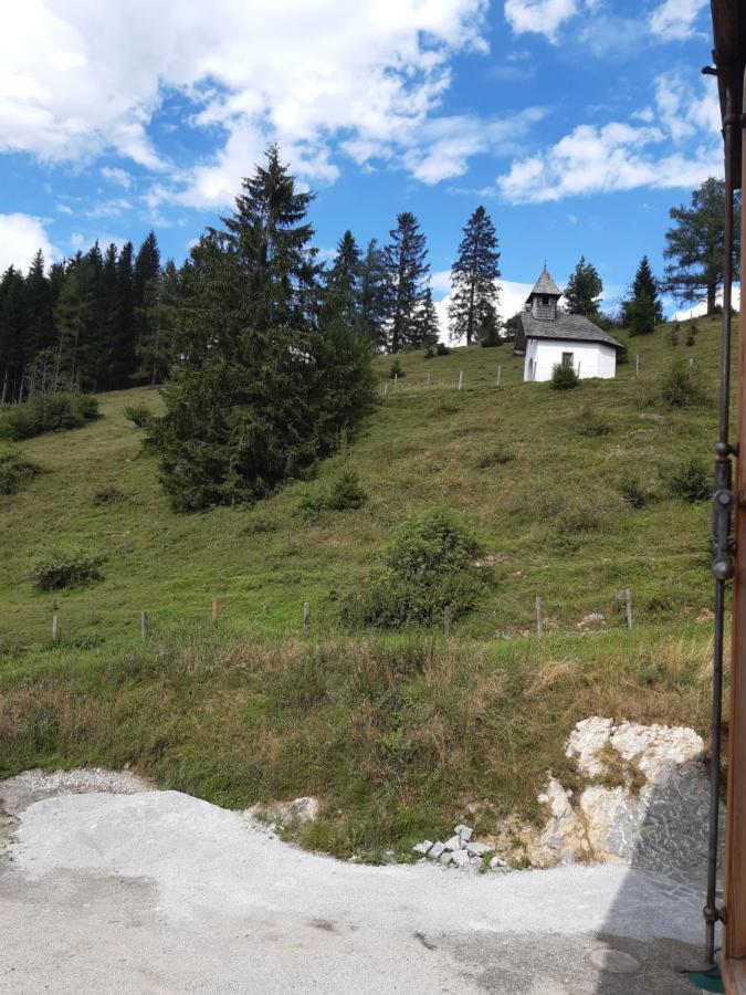 Sonnleit'N Zimmer 6 Abtenau Εξωτερικό φωτογραφία